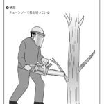 伐採-伐採作業