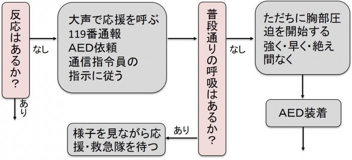 市民が行う一次救命処置の手順（新しい生活洋式下）1