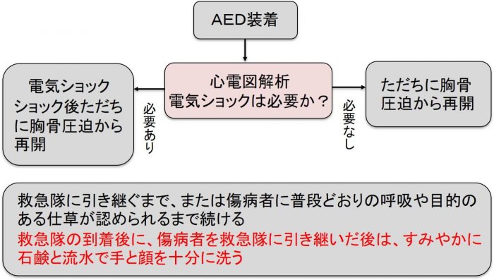市民が行う一次救命処置の手順（新しい生活洋式下）2