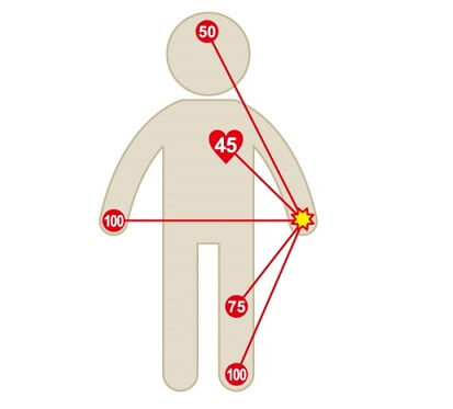 人体内部の抵抗：手と手を100としたときの割合