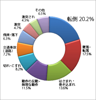 图1.  2009年主要死伤事故类型所占比例